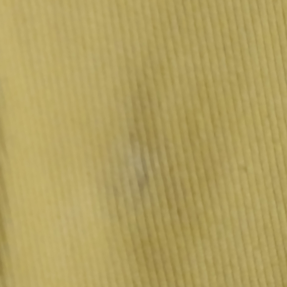 Riding britches / riding pants in canary yellow - Picture 3 of 4